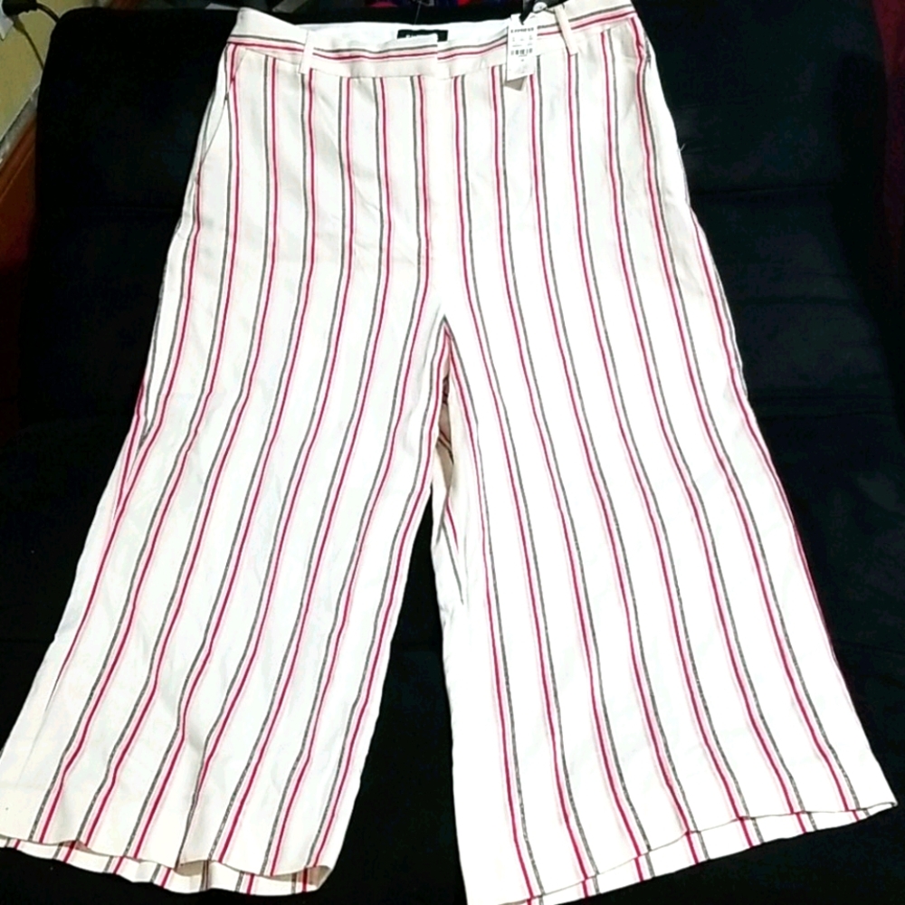 Express branded dress pant
